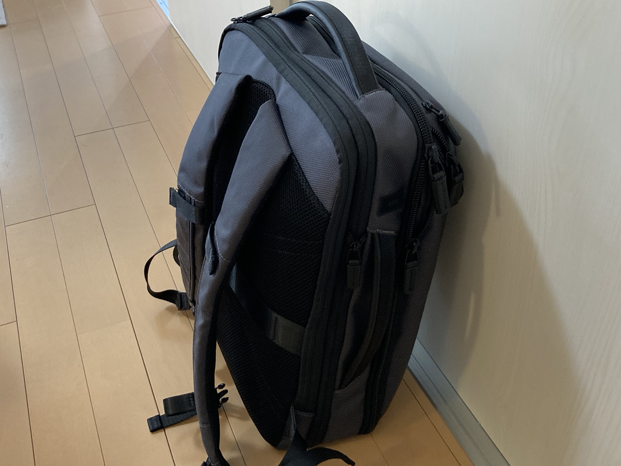 エースデュアルポーズレビュー・背面とショルダーハーネスはクッション性が高く楽に背負える